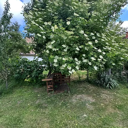 別荘 Bohemian House *