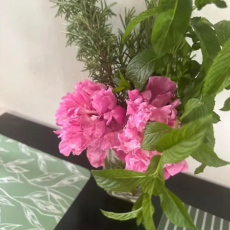 Tatil Evi Bohemian House *