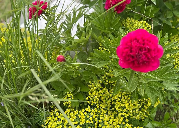 Bohemian House Holiday home